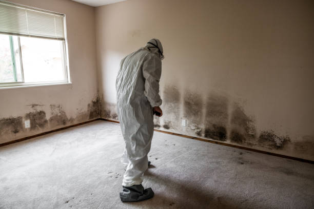 Best Mold Remediation for Specific Building Types in Gleed, WA