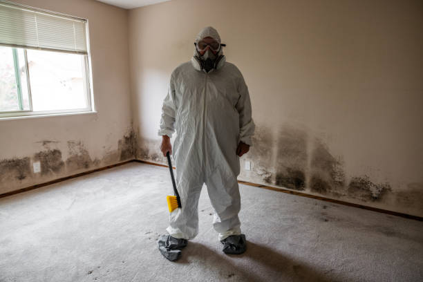 Best Emergency Mold Remediation in Gleed, WA